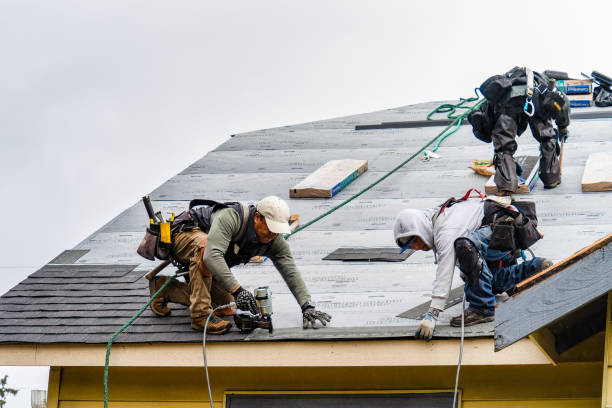 Professional Roofing technician working in Gilby, ND